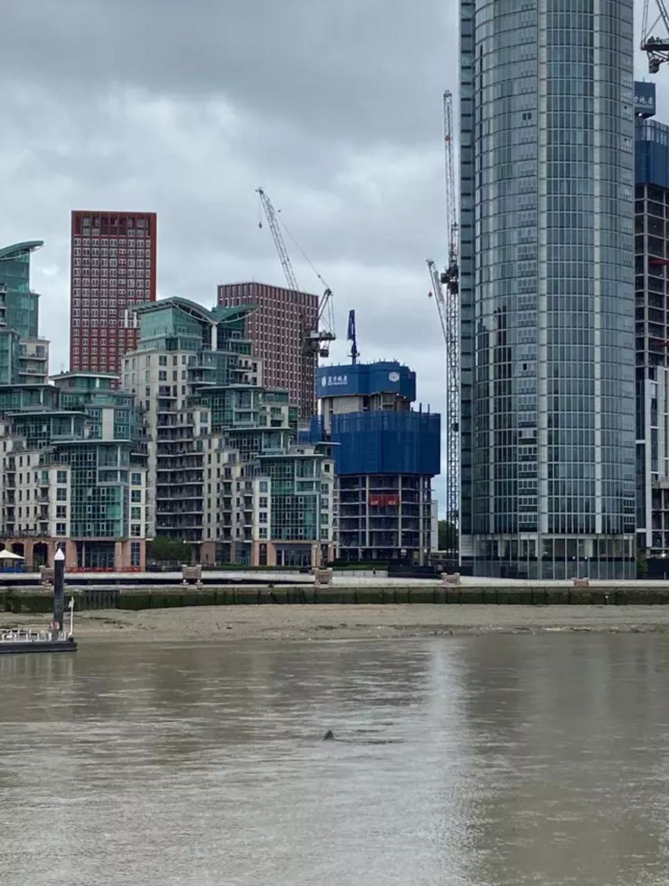 Forrás: Twitter/@AdamBarnski