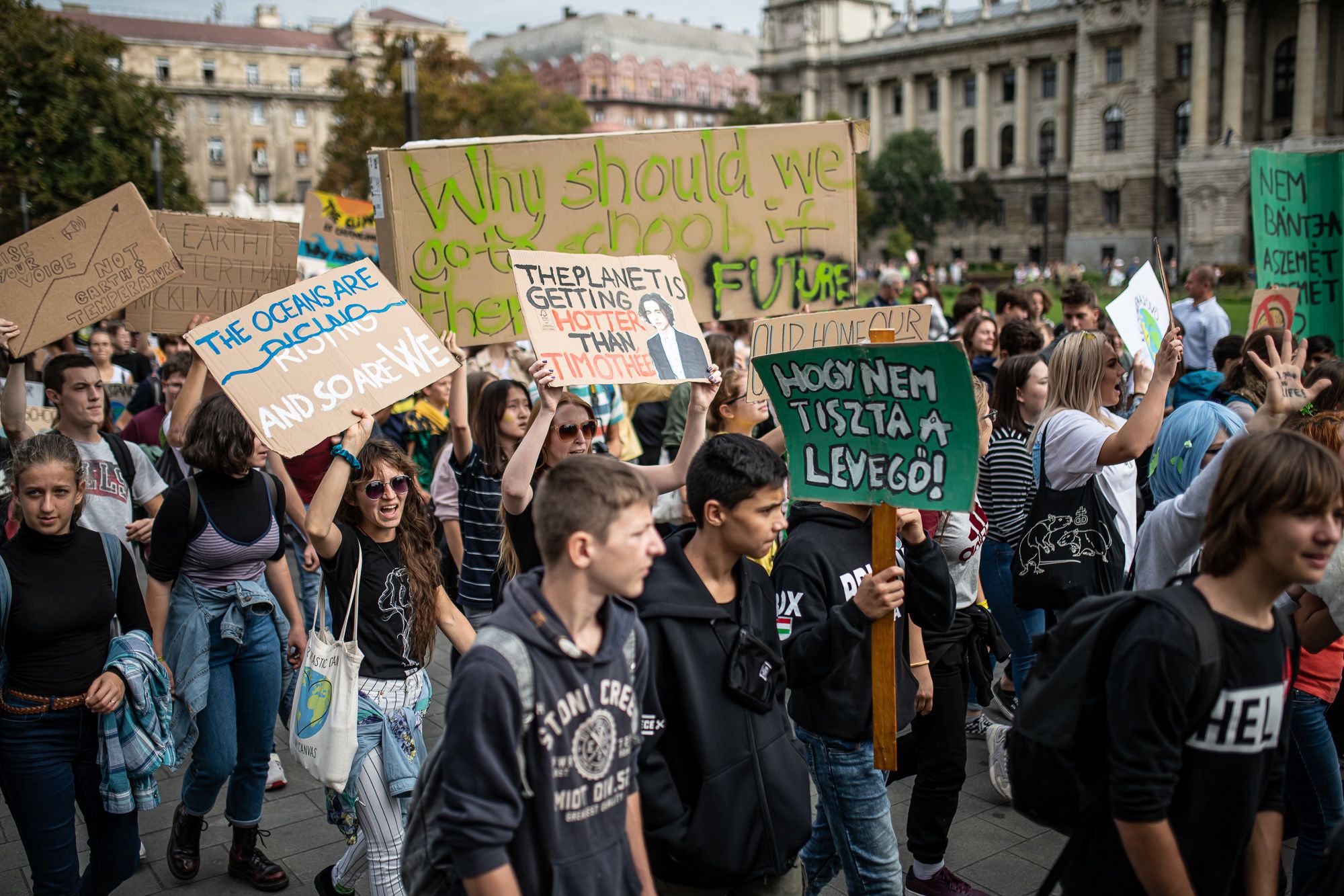 Fotó: Neményi Márton