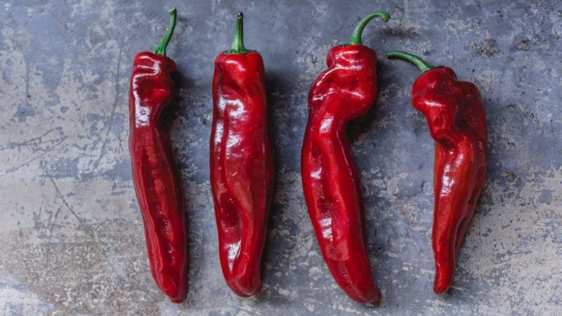 Csípős paprika