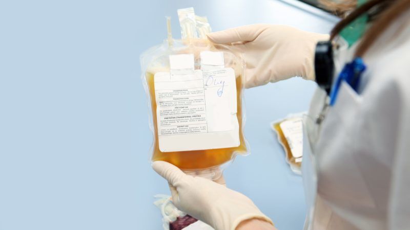 Vérplazma-terápiához adott vért a fiatal focista