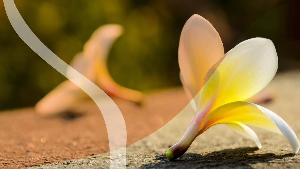 Ez egy veszélyes hétvége. Legyél óvatos!