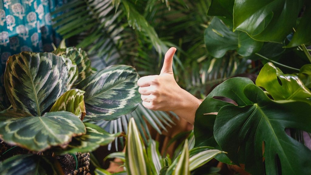 iszonyú hosszú hüvelykujja van a férfinak