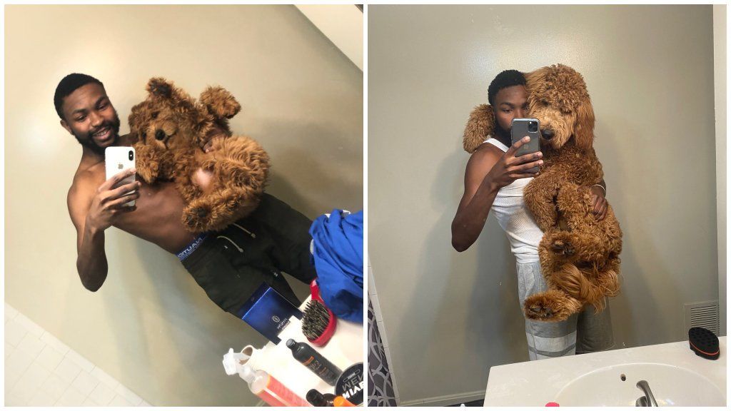 Kutyák akkor és most