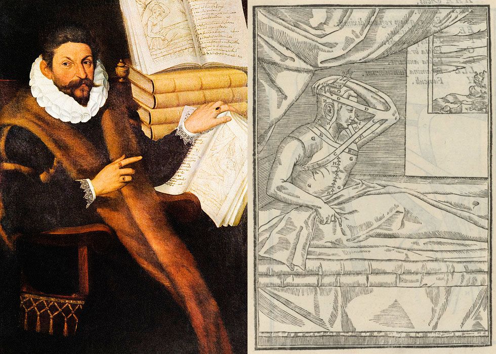 Nádtól a szilikonig - A plasztika történelme