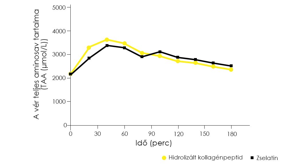 Aminosavak hasznosulásának mértéke zselatin és hidrolizált kollagénpeptid esetén (Forrás: Frontiers in Nutrition)