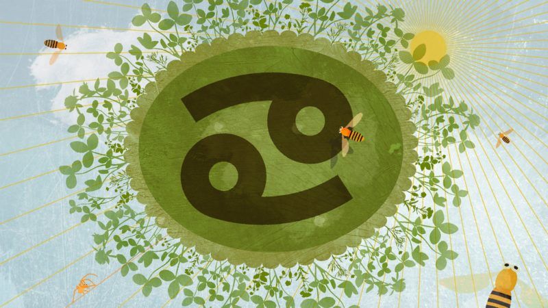 Összeillesz a Rák csillagjeggyel? 