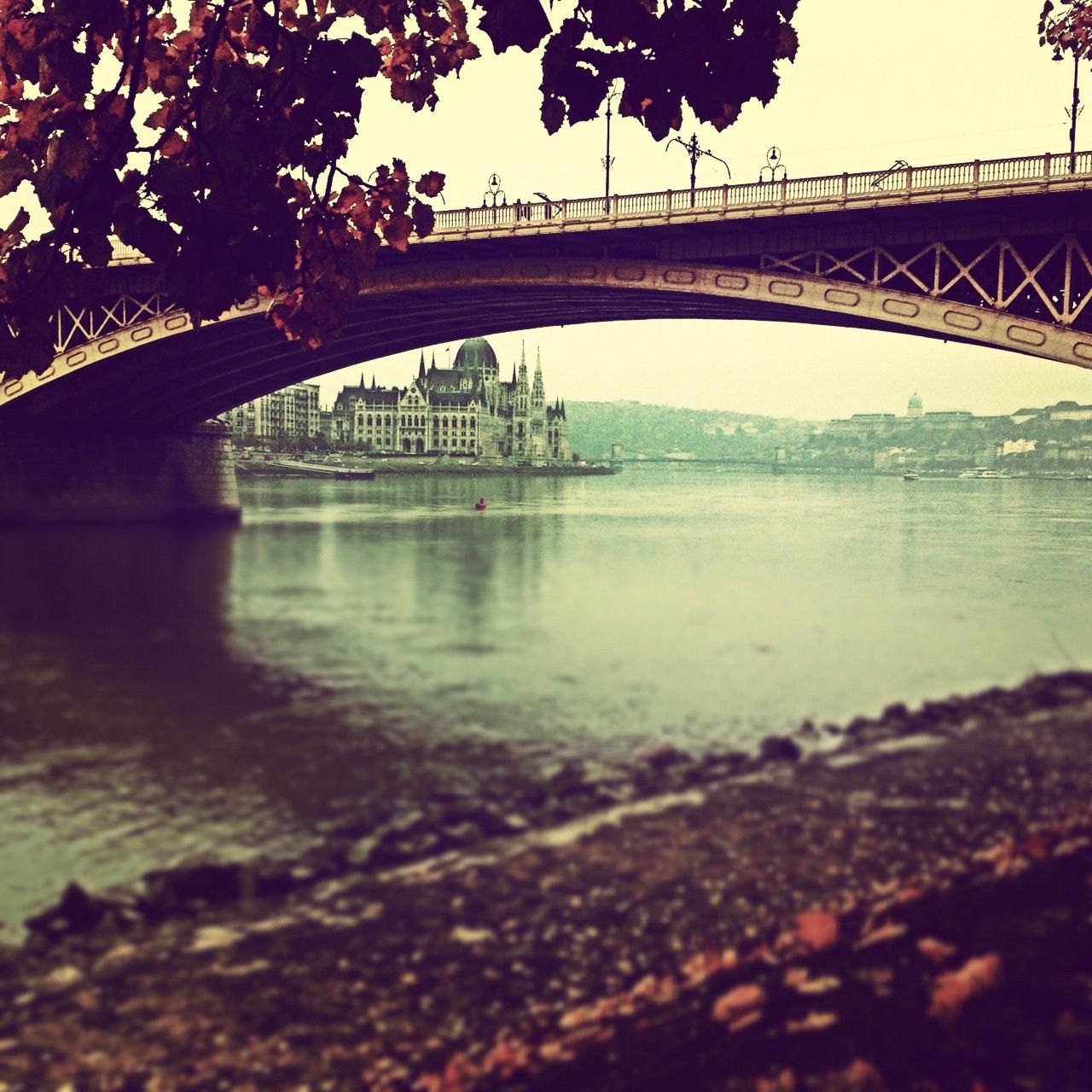 Margitsziget ősszel