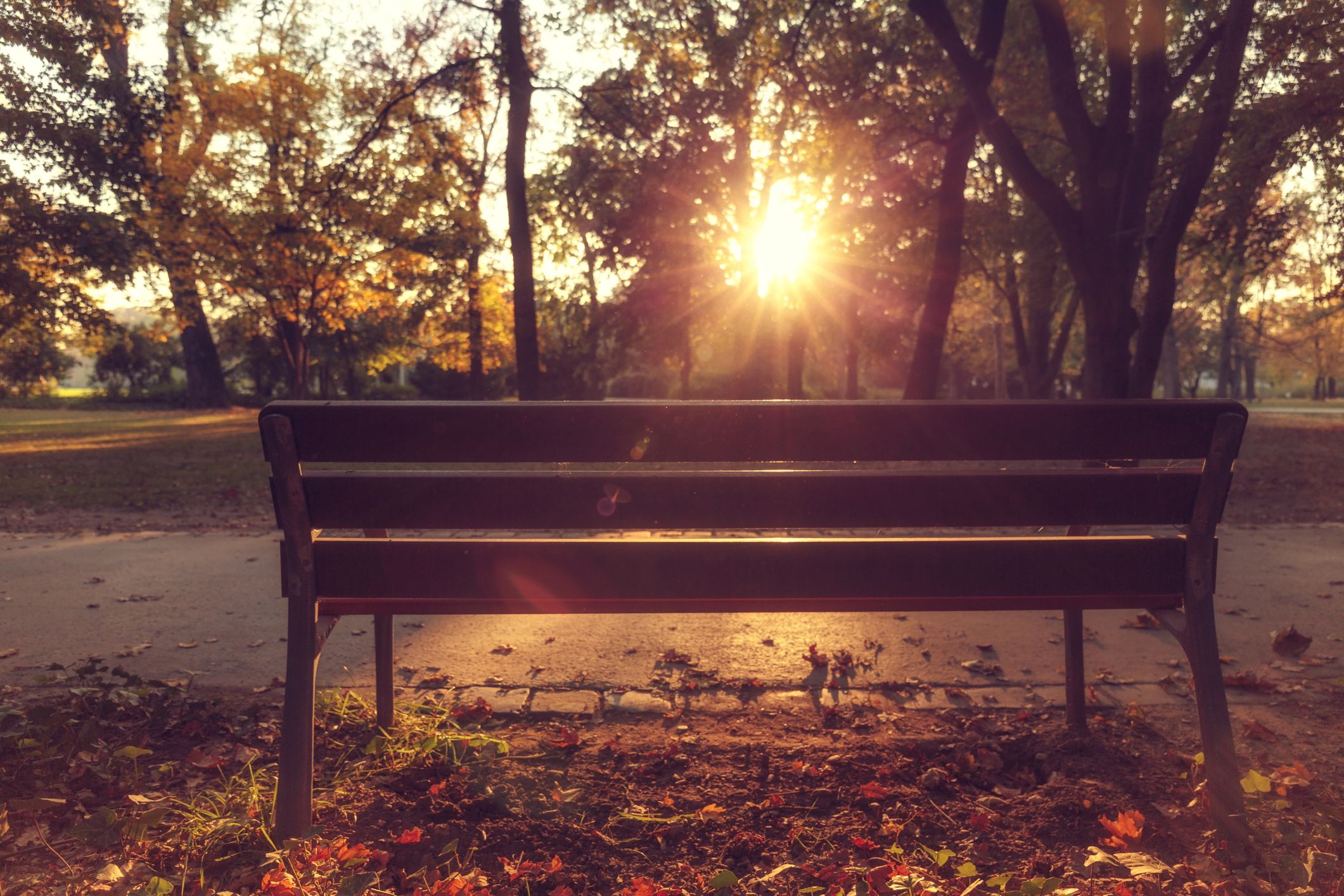 Margitsziget ősszel