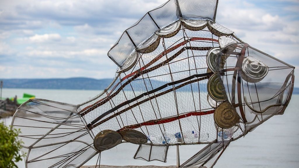 Balatoni hal - Fotó: MTI