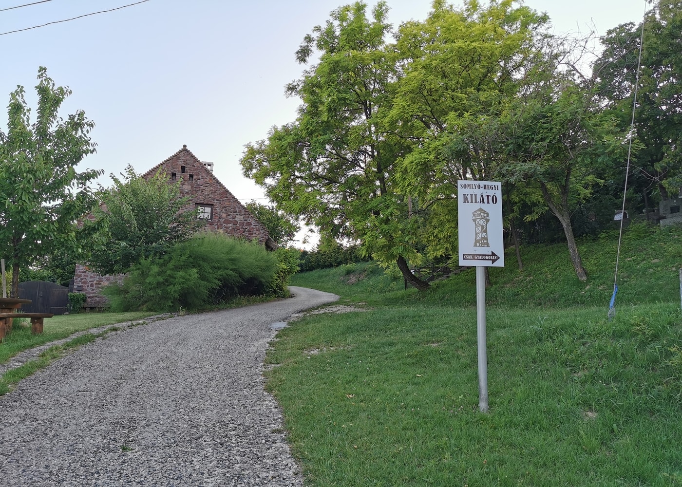 Út a Somlyó-hegyi kilátóhoz