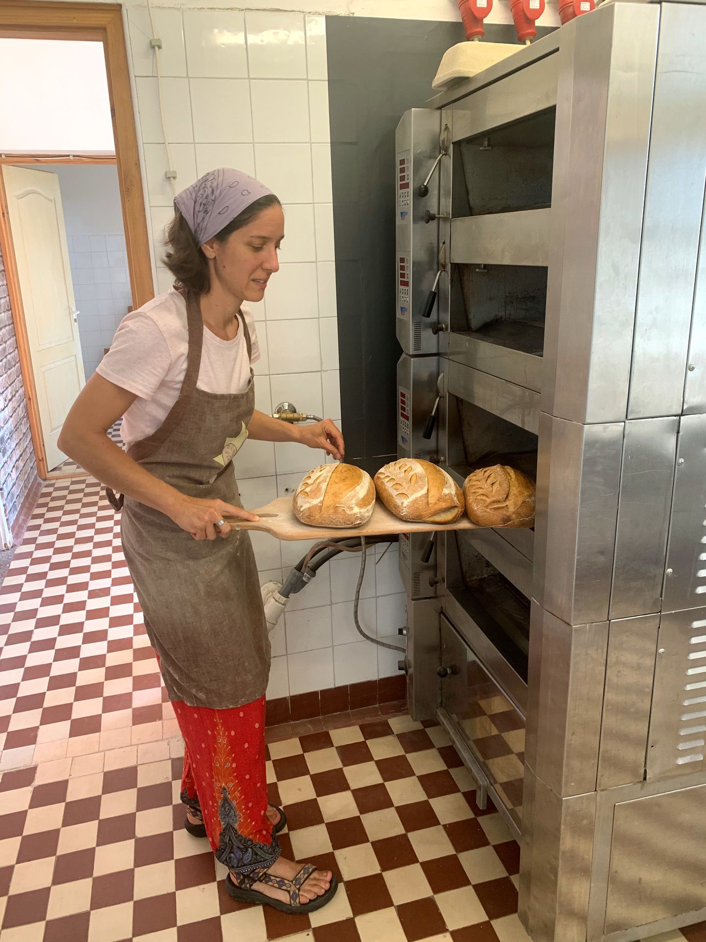 Apáthy Melinda, Pékanyu