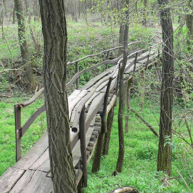 Kirándulás Budapest környékén