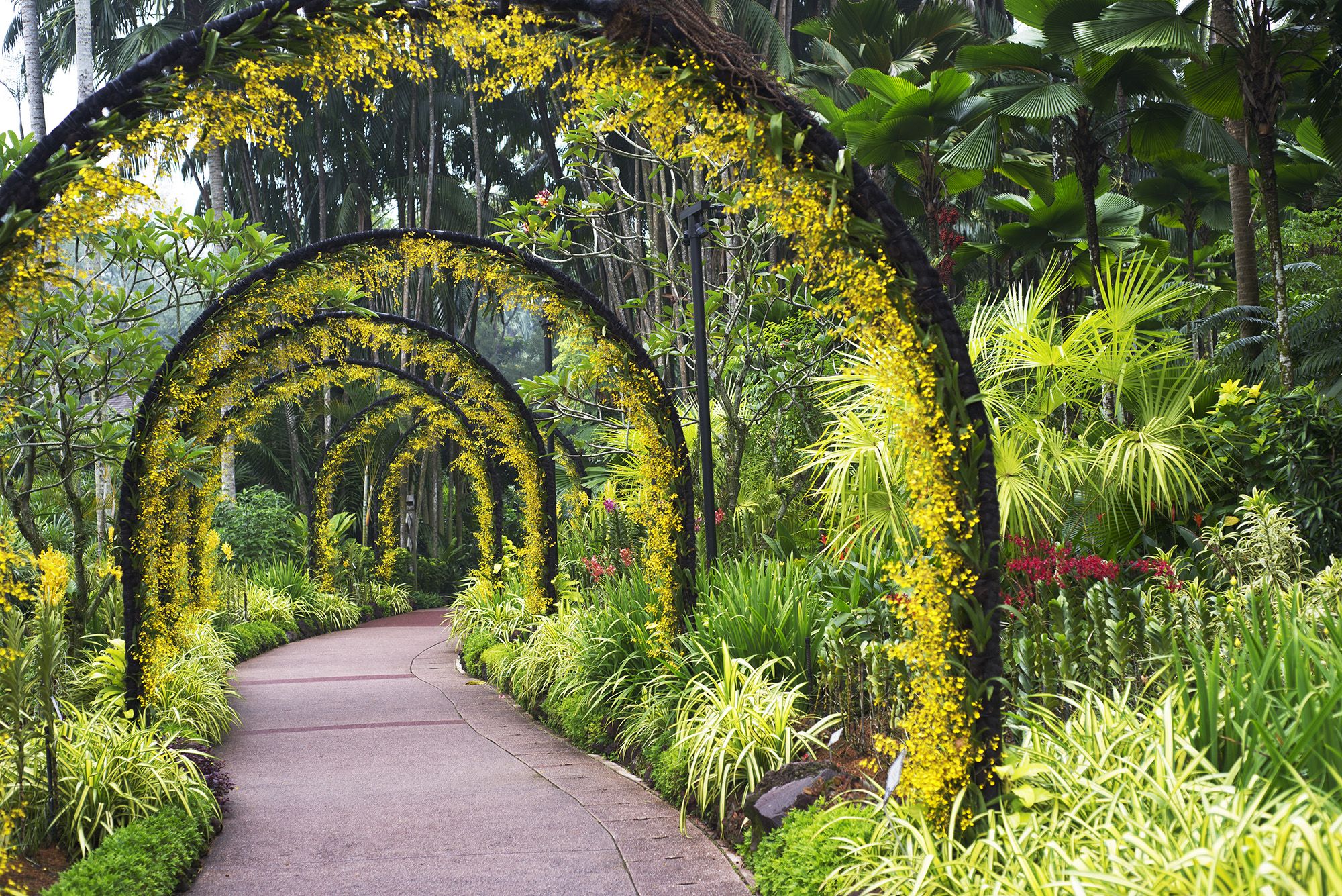 Forrás: Getty Images