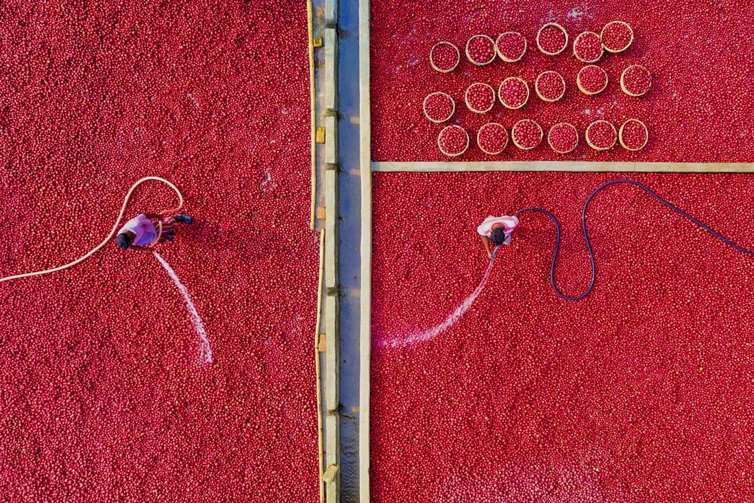 Fotó: Md All Asraf Bhulyan/Minimalist Photography Awards 2020