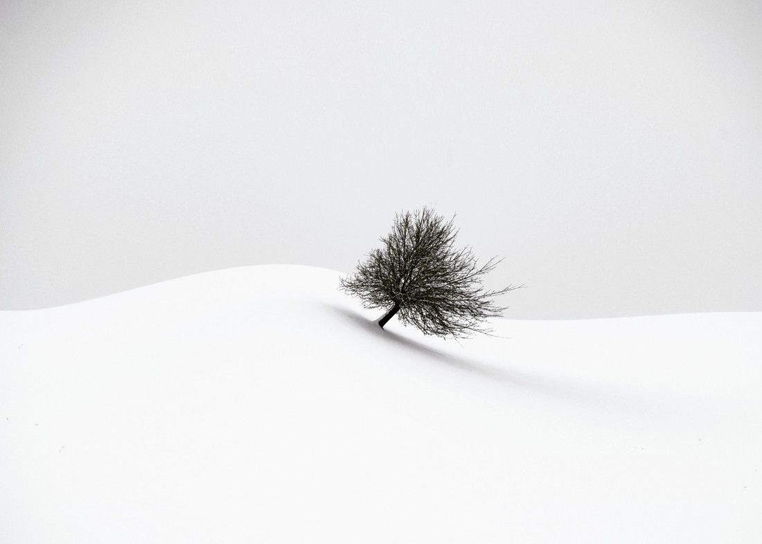 Fotó: Renate Wasinger/Minimalist Photography Awards 2020
