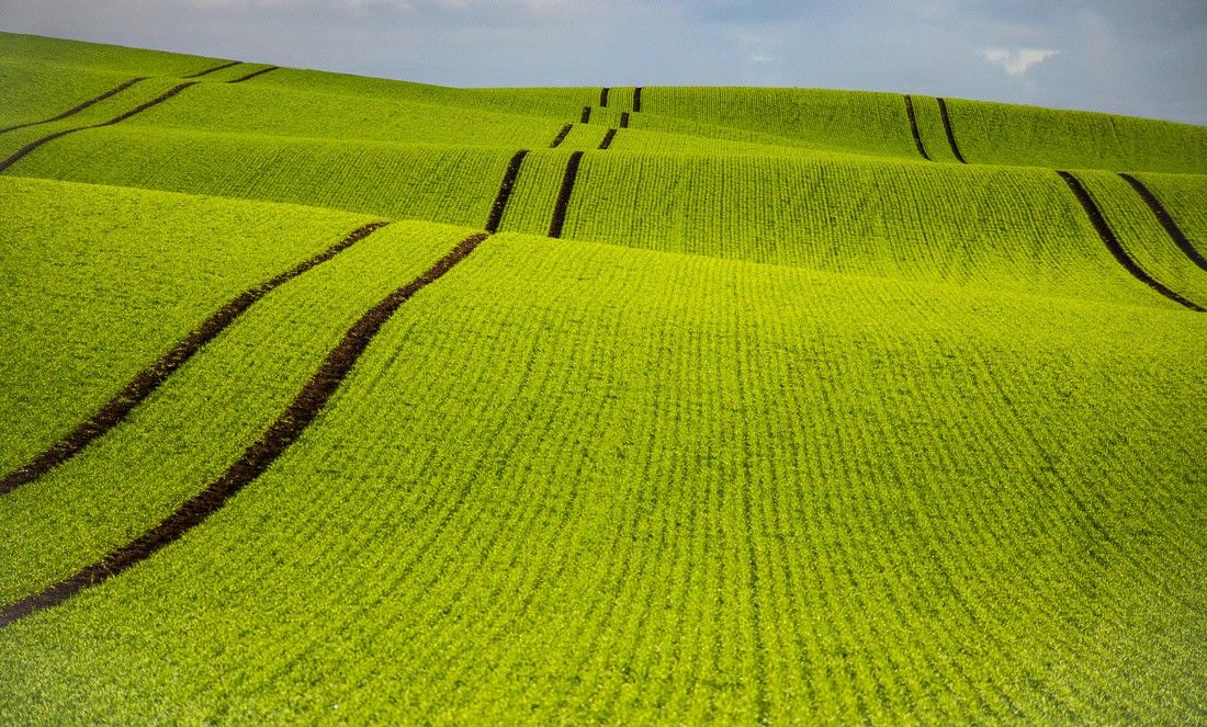 Fotó: Monica Schlmanke/Minimalist Photography Awards 2020