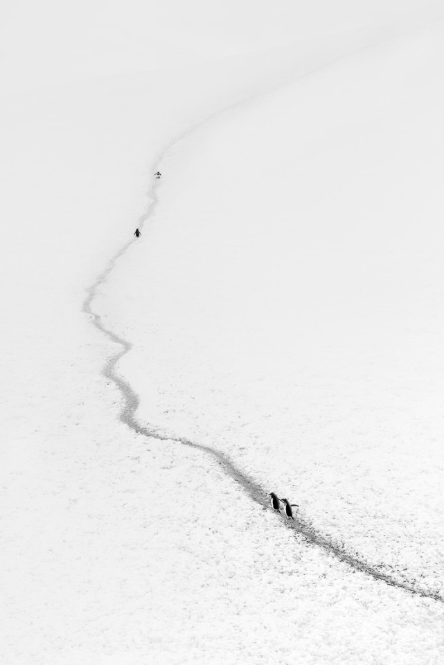 Fotó: David Xu/Minimalist Photography Awards 2020