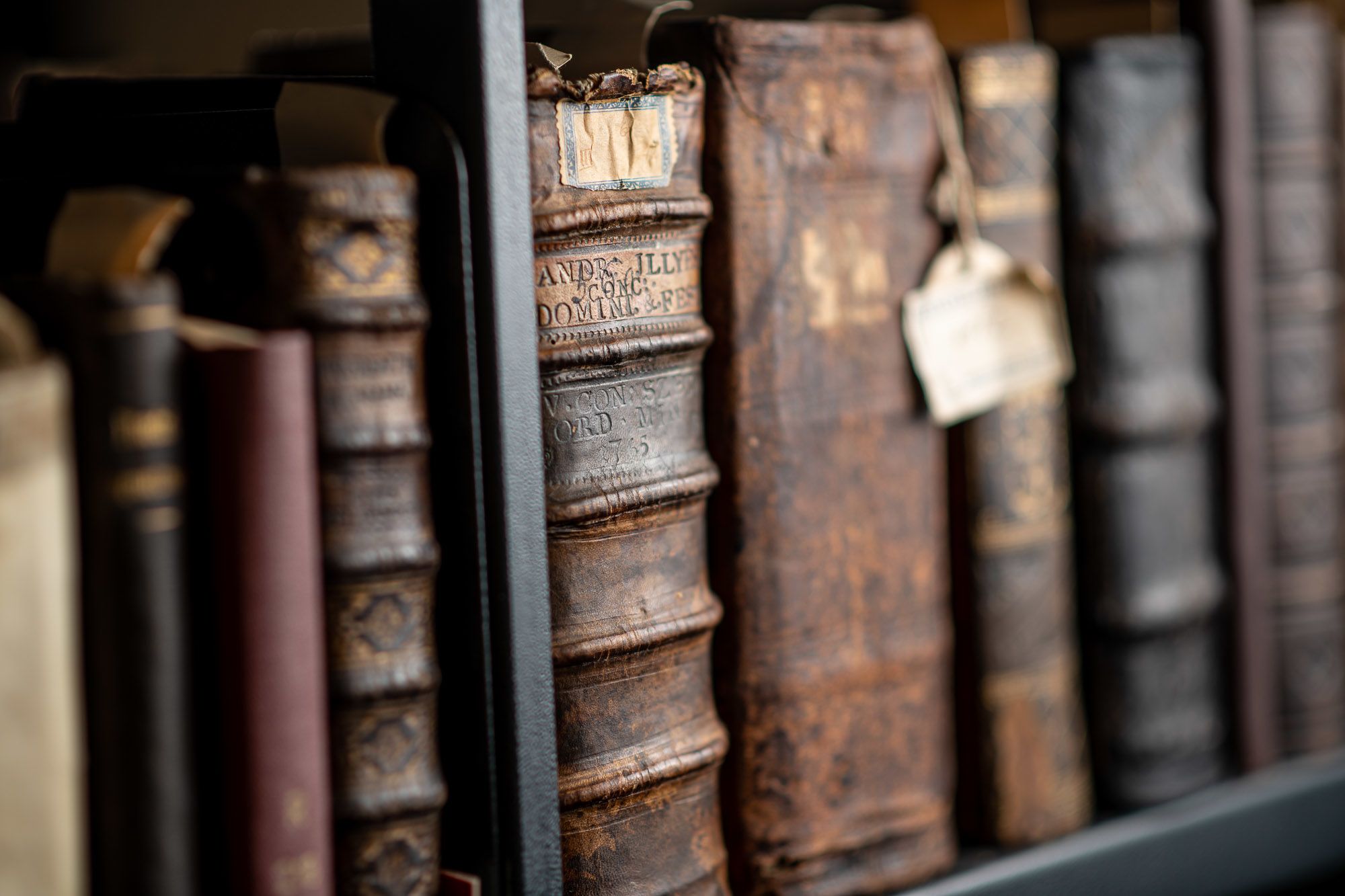 A TIK (fotó: Neményi Márton)