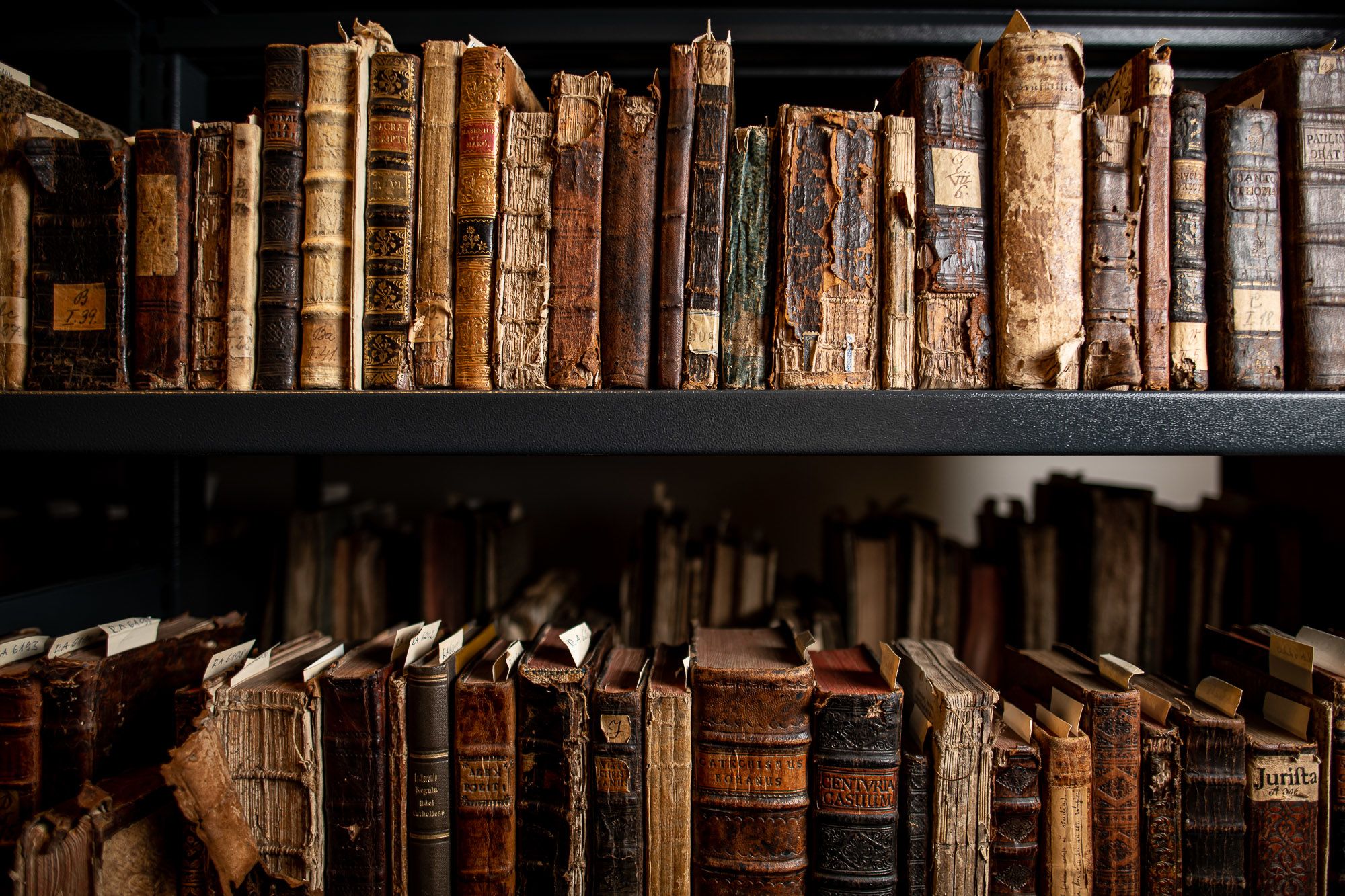 Fotó: Neményi Márton