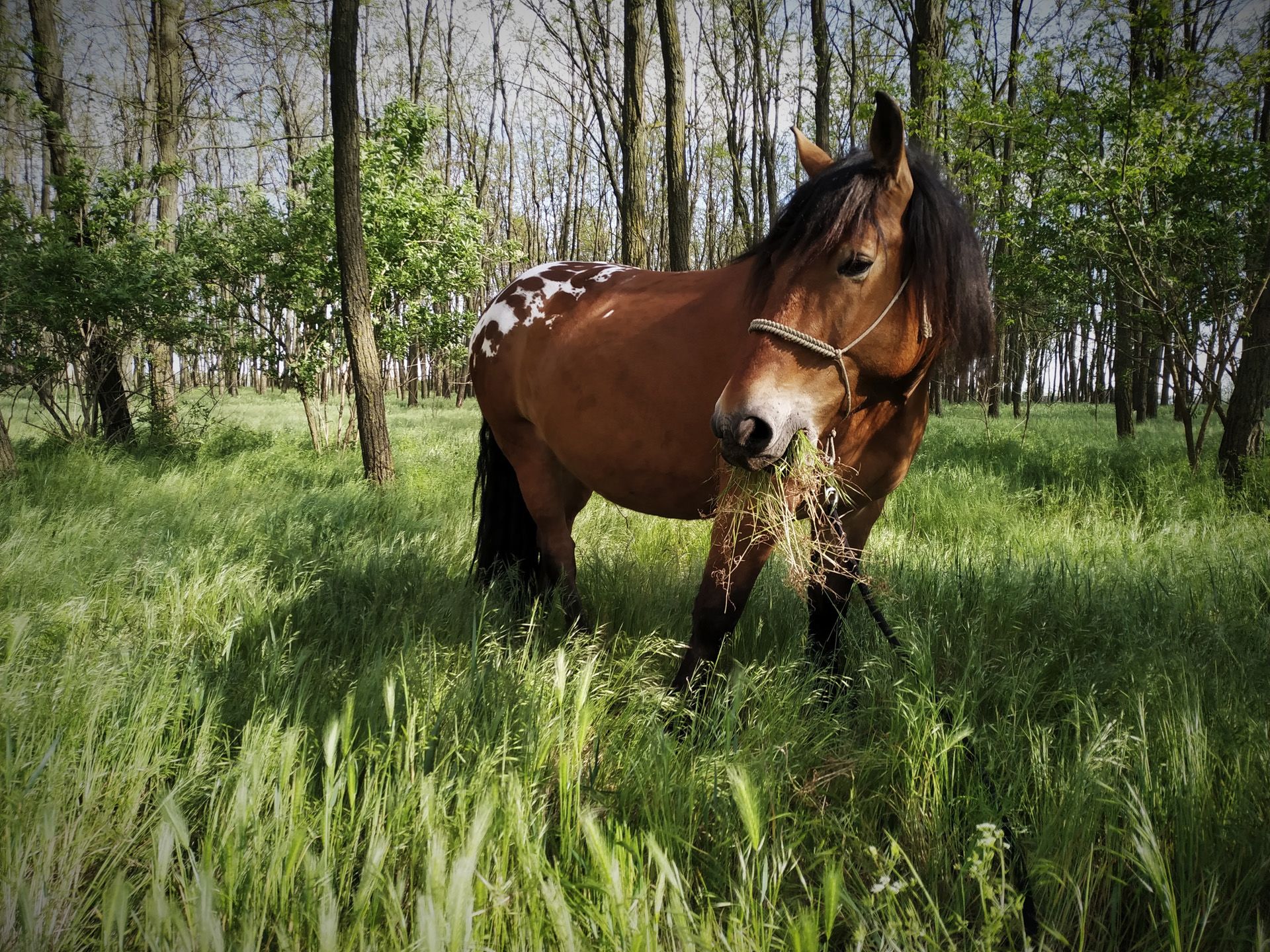 Tíz év alatt élelmiszer-önellátóvá vált a család