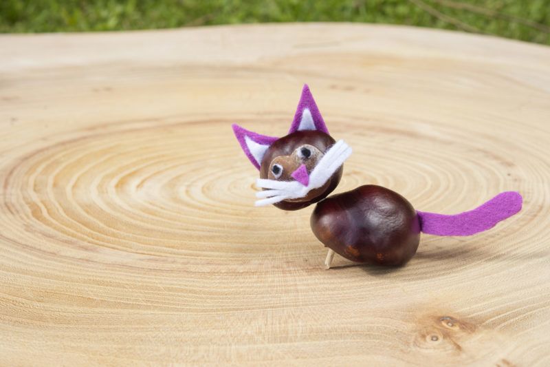 Vadgesztenye dekorációk