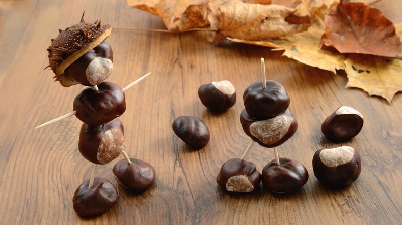 Vadgesztenye dekorációk