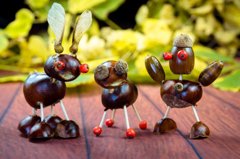 Vadgesztenye dekorációk