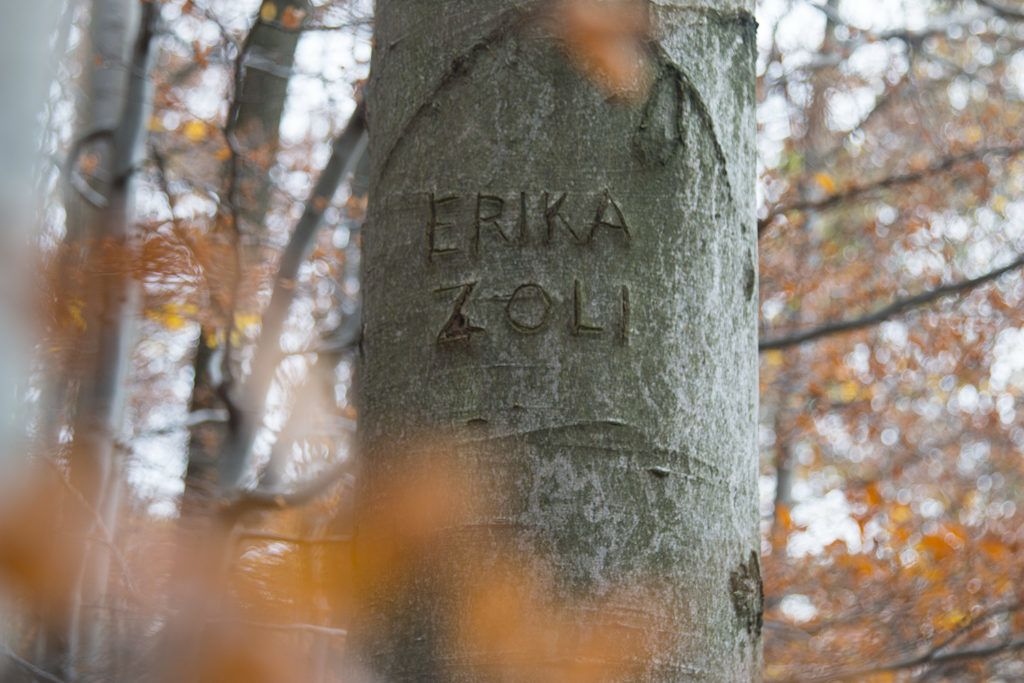 Irány a Mátra ősszel