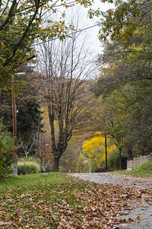 Mátrában kirándulás