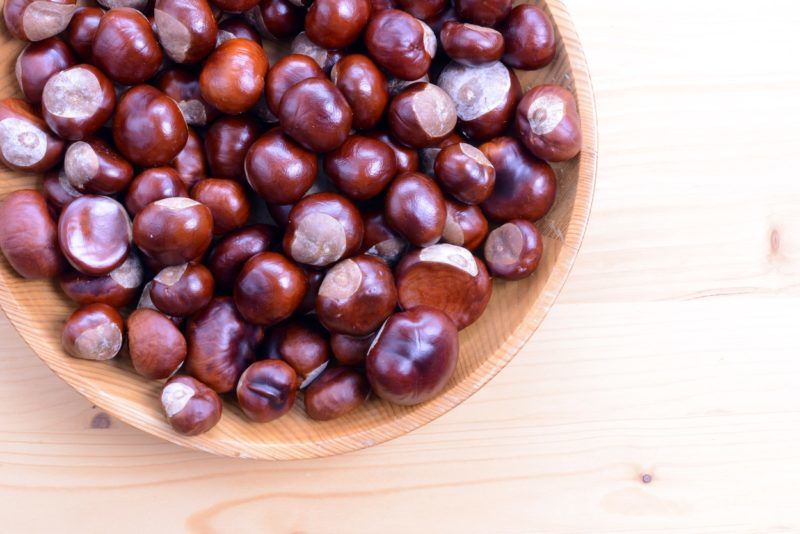 Vadgesztenye dekorációk