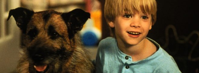 Nicsak, ki beszél most! David Gallagher, mint Mikey