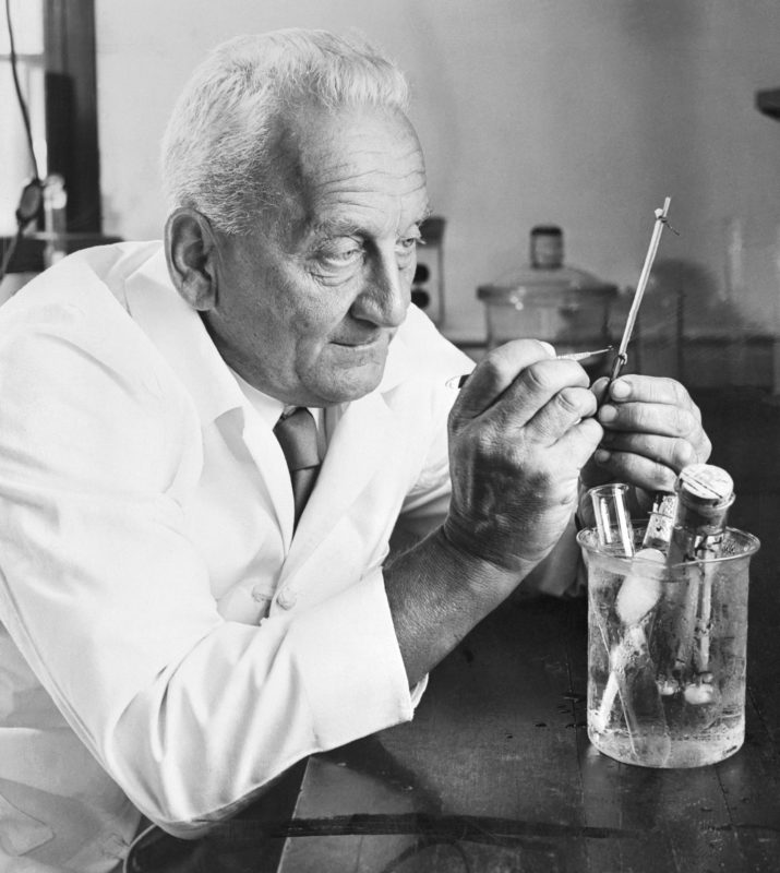 Paprika, amit gyógyszerként kellene fogyasztanunk