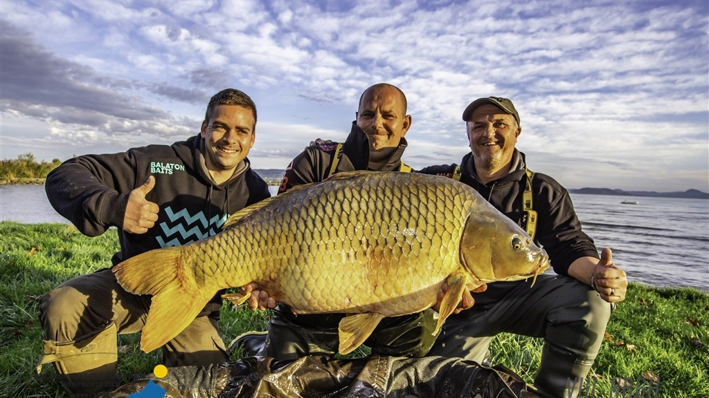 szabó pipsi istván rekord ponty horgászverseny