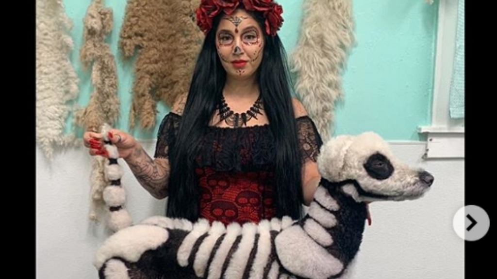 Csontvázat csinált kutyájából a kutyakozmetikus