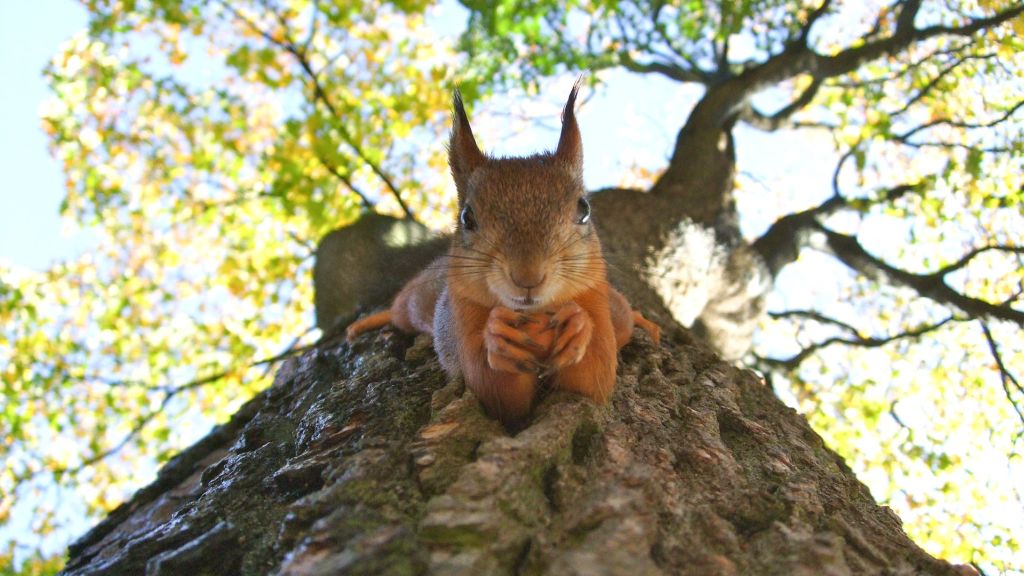 Heti horoszkóp 2020 10 19