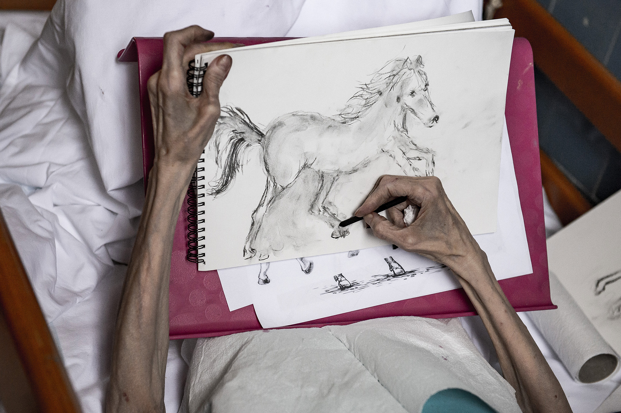 Fotó: MTI/Komka Péter