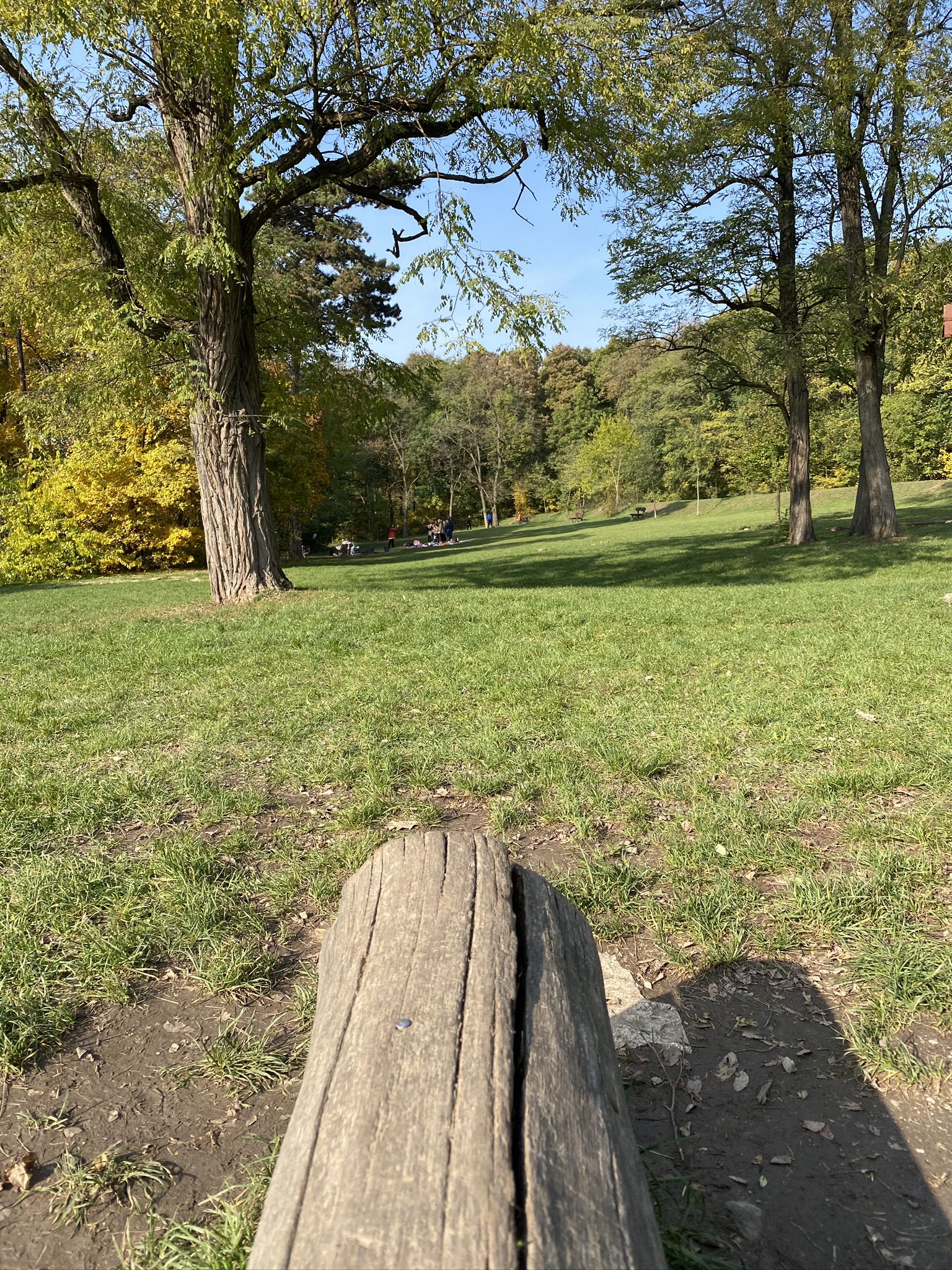 Budapesti Kamaraerdő pihenő