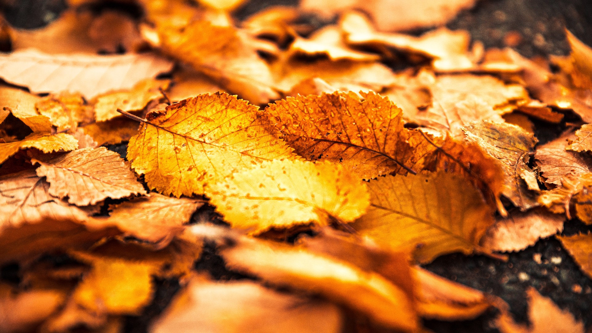 Napos, ködös, felhős idő várható pénteken.