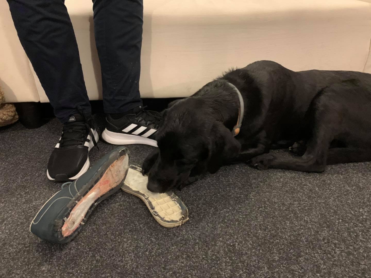 Letépte a látássérült fiú cipőjének talpát a mozgólépcső.