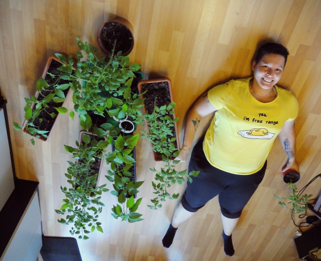 Közösen ültetnek és szüretelnek a Zöldítők