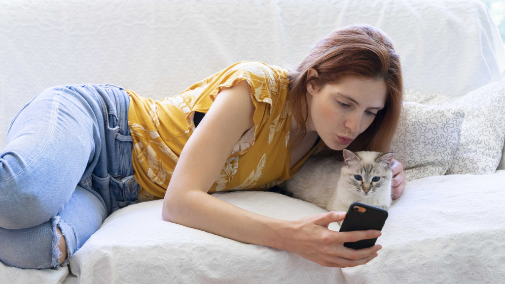 Macskatolmács applikációt fejlesztettek telefonra