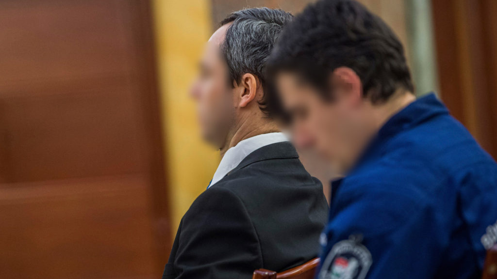 Lúgos-ügy: üzemi balesetként kártérítenének