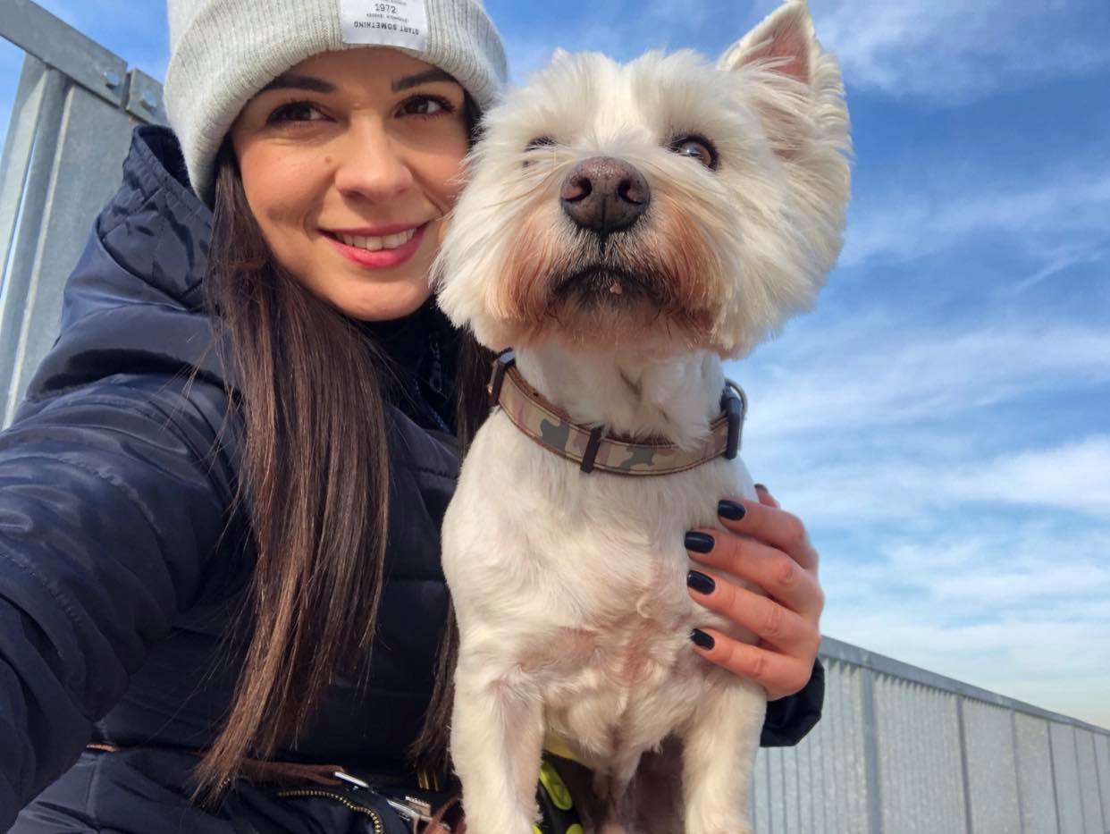 Felelős kutyatartás