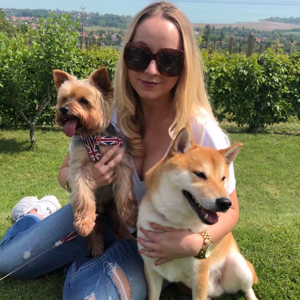 Felelős kutyatartás