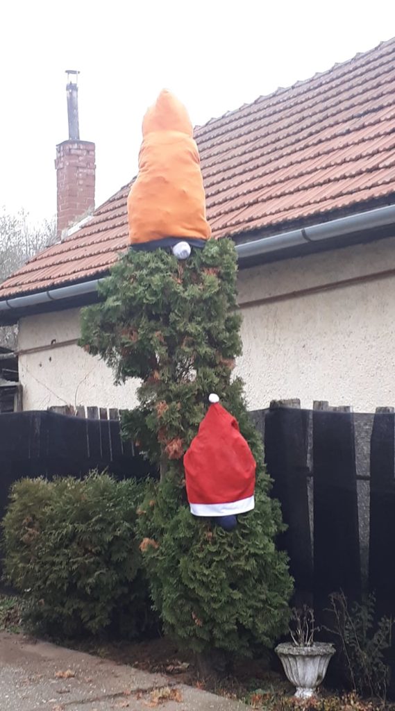 feldíszített tuja Mikulással és manóval