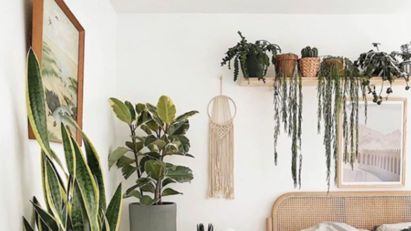 ajándékok lakásba