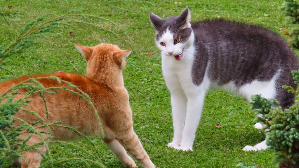 Napi horoszkóp 2020. 11. 14.