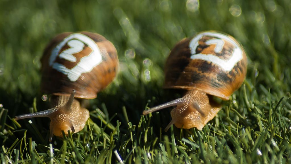 Napi horoszkóp 2020. 11. 17.