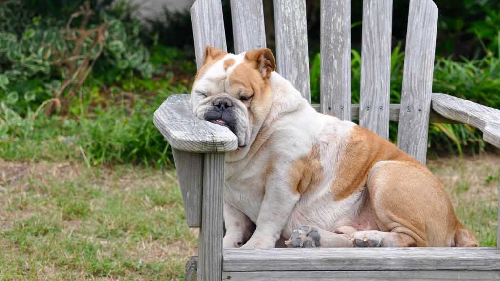 Napi horoszkóp 2020. 11. 23.