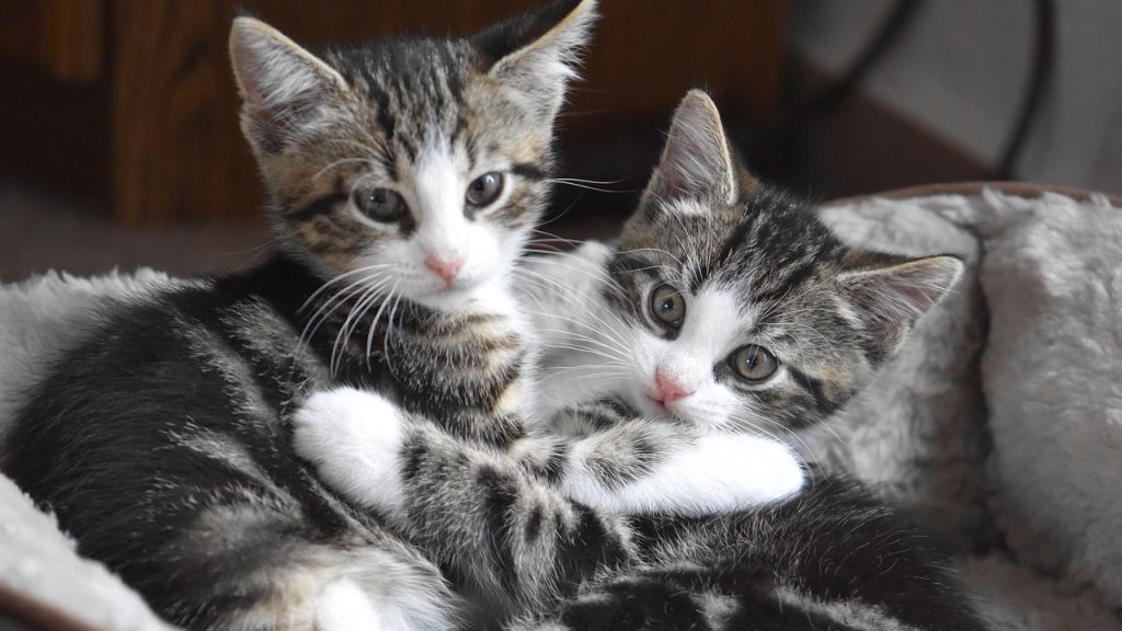 Napi horoszkóp 2020. 11. 28.